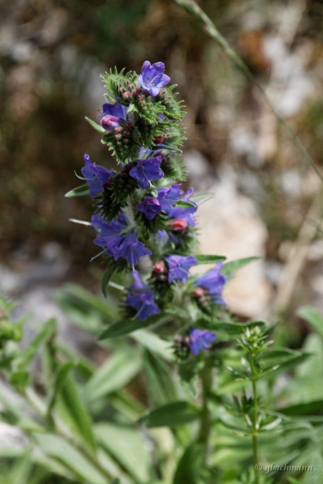 20150514_0073